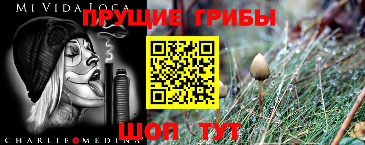 Псилоцибиновые грибы Magic Shrooms Топки