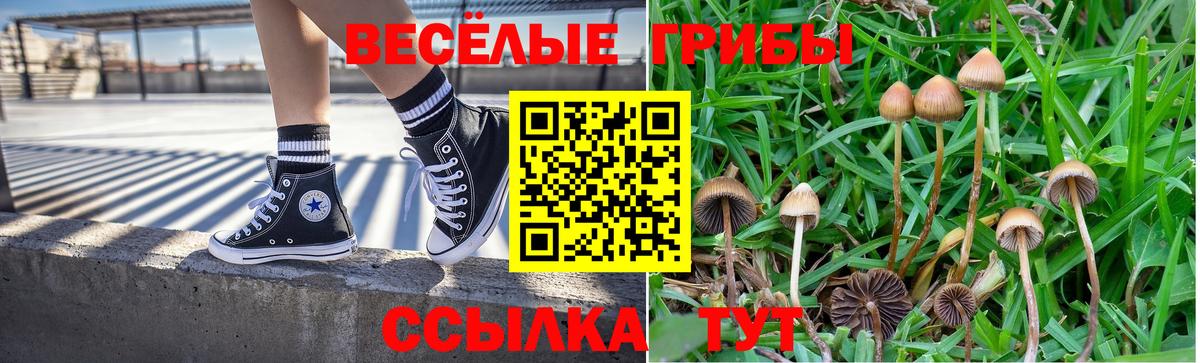 Галлюциногенные грибы Psilocybe  Вход с VPN  Топки 